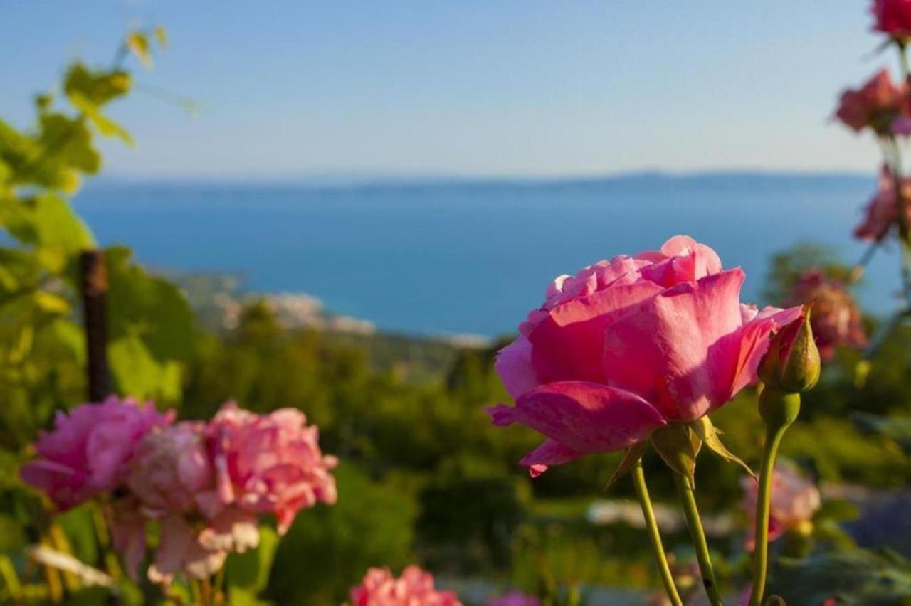 Dovolenkový dom Nona Makarska